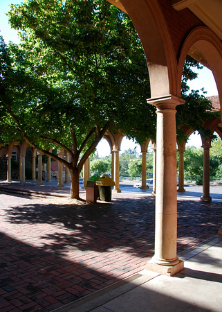 University of Adelaide